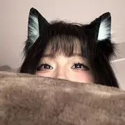 小猫圆圆的用户头像