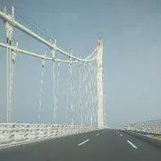 中国龙叔