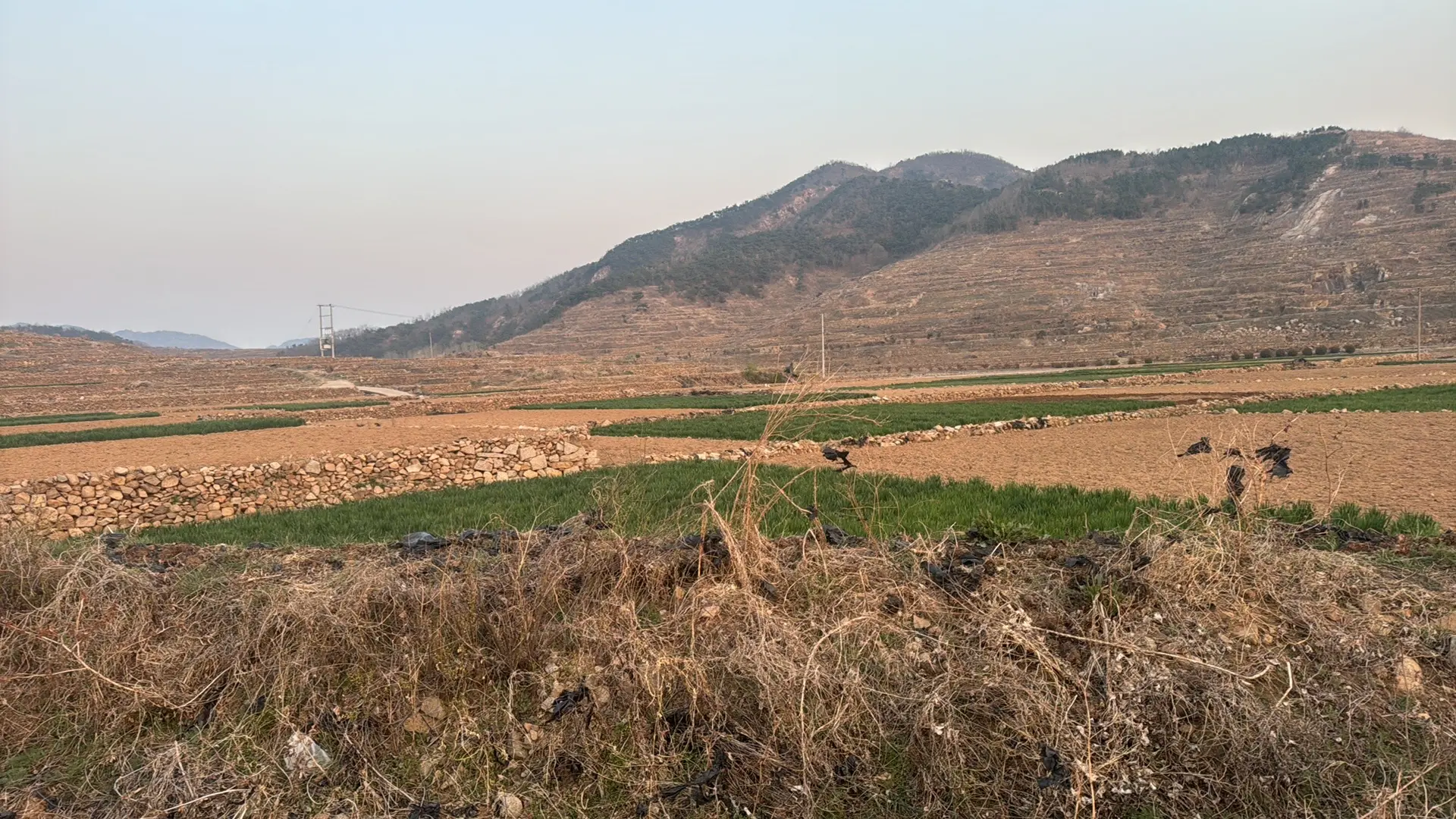 陈平安医院不定时播的主播照片