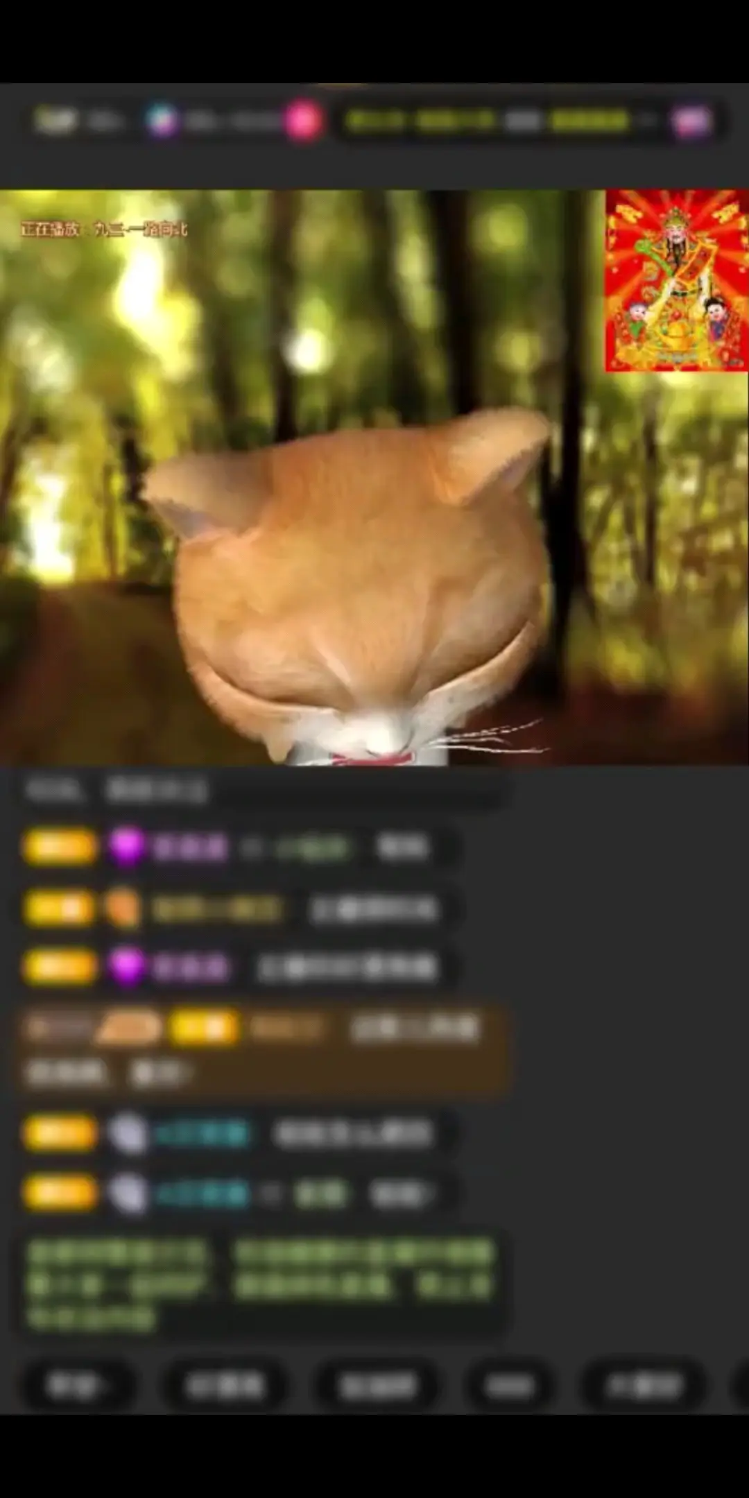 神龙在空中肆意盘旋。