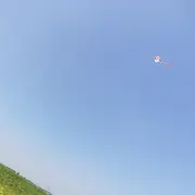 柔柔泡泡