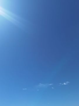 侯爵团🌻花爷🌻的图片