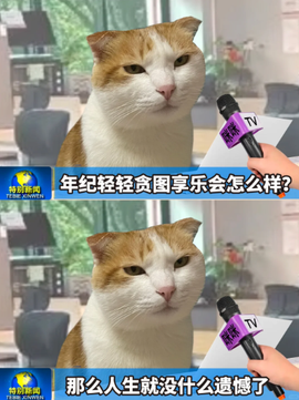 晚星𝐲𝐨𝐥𝐨的图片
