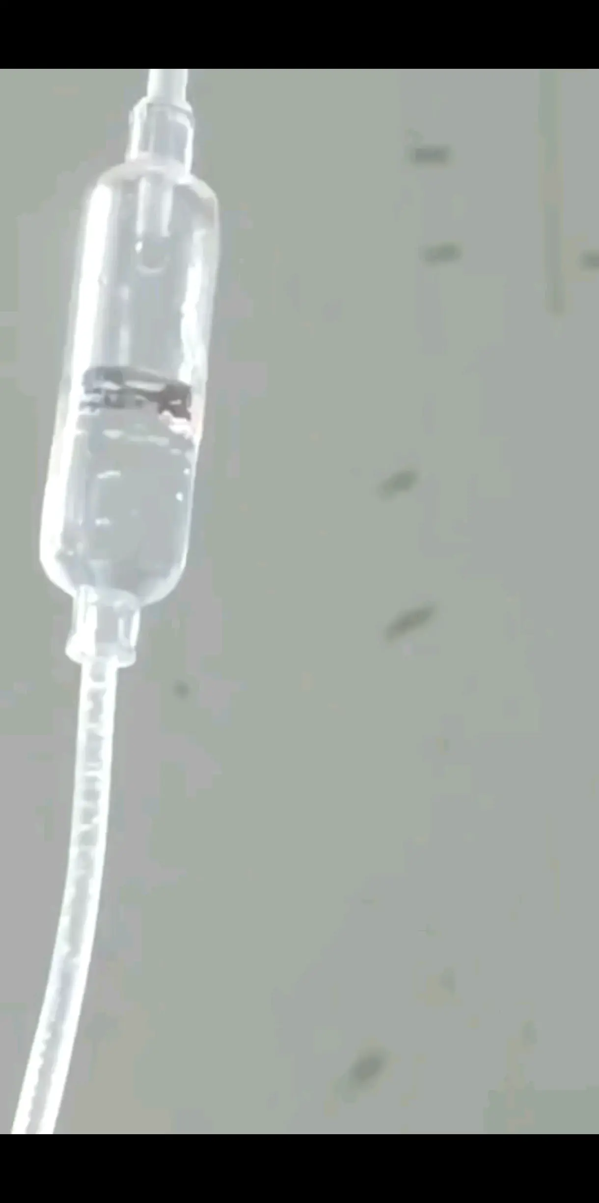 吃了两天药，以为可以