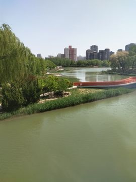 别致选择的图片
