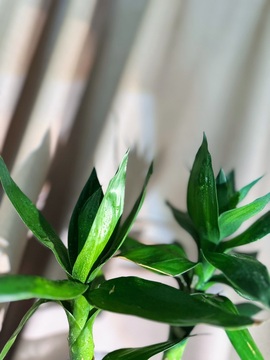 毛28🌈的图片