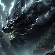 ^黑卡^