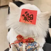 🐬涂涂（休假中）的用户头像