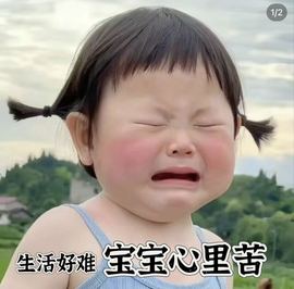 叶漫漫~加油吖！的图片