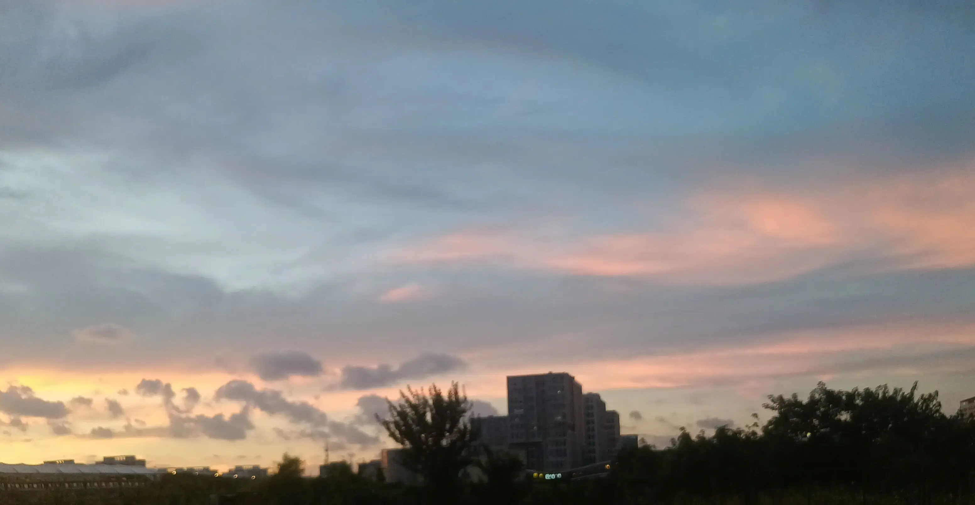 ゛✿洛洛✿的主播照片