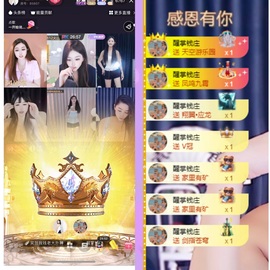 意难平111的图片