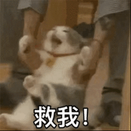 朵朵。。的图片