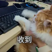 菜菜（退）的用户头像