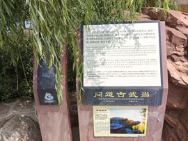 厄洛斯💗7978的图片