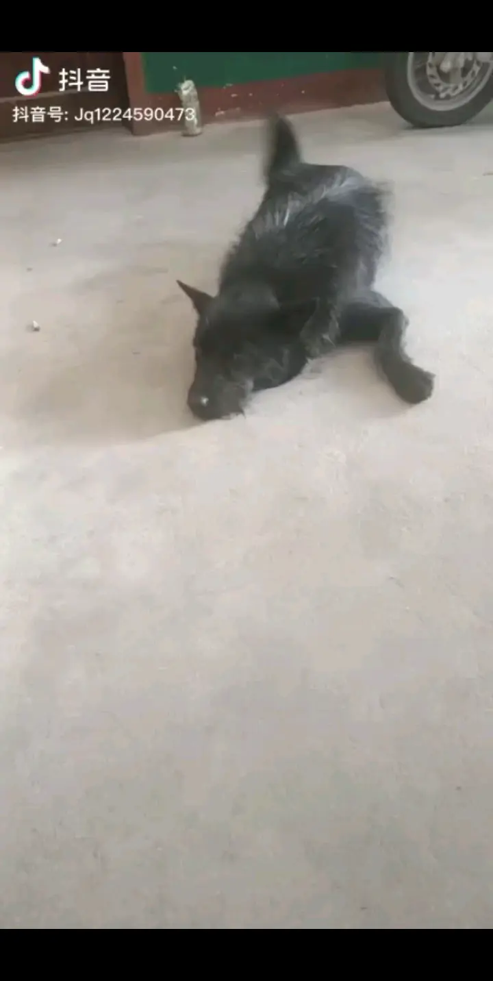大家好呀，比心！