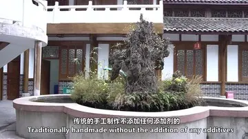 超娃之阆中三怪保宁蒸