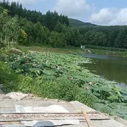 喜欢kk、