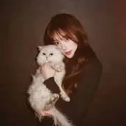 新人-猫猫求被爱