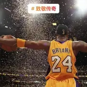 意难平111的用户头像