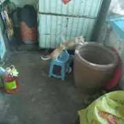 小秘书，，