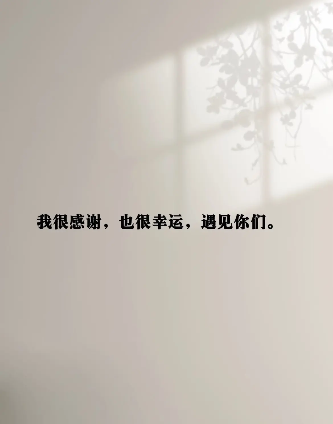 小雅ღ金牌代理丶➹主播图片