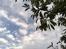 💞阳阳得意💞的图片
