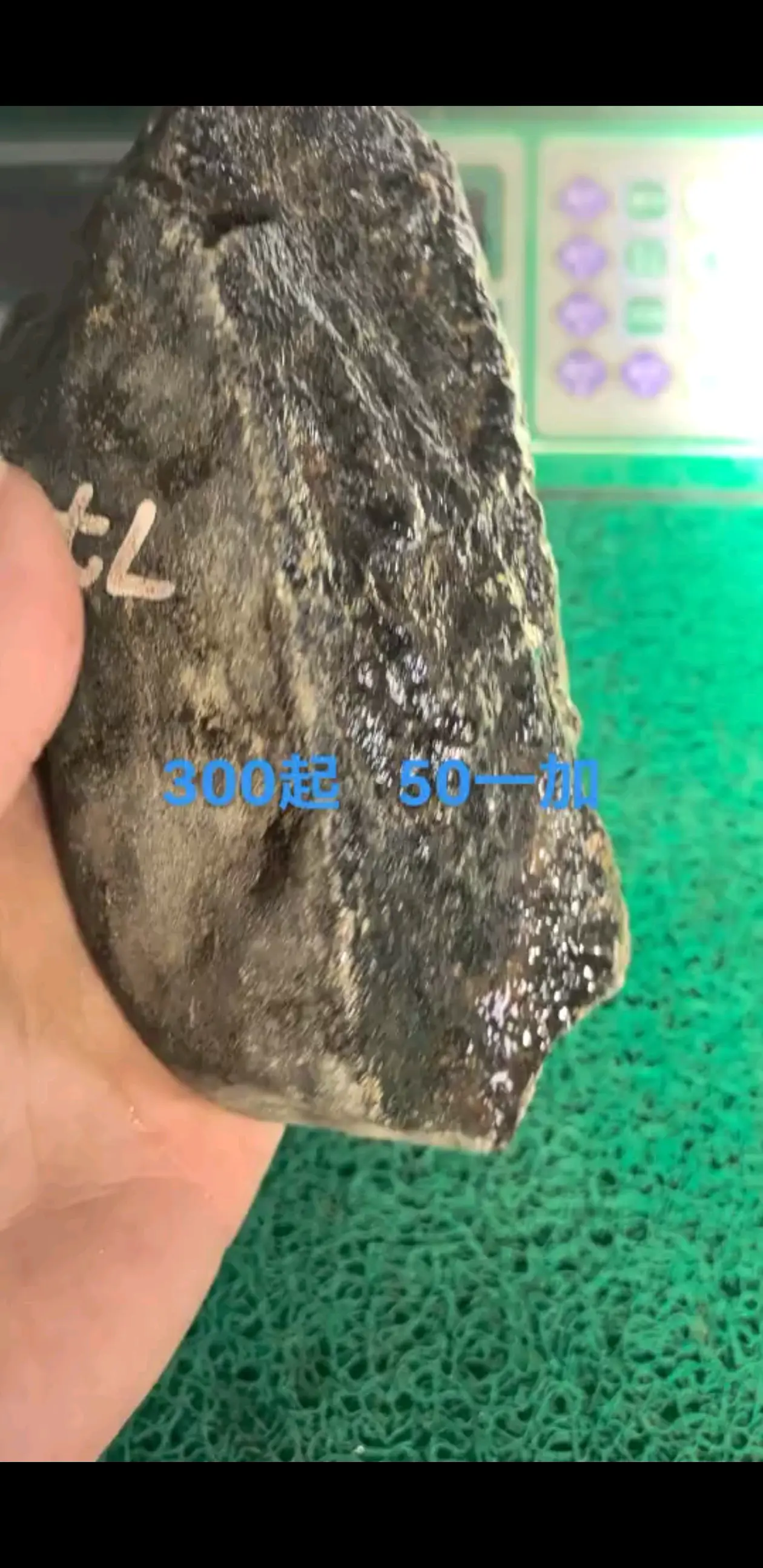 /胜利/胜利