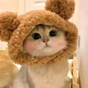 泡泡泡泡鱼