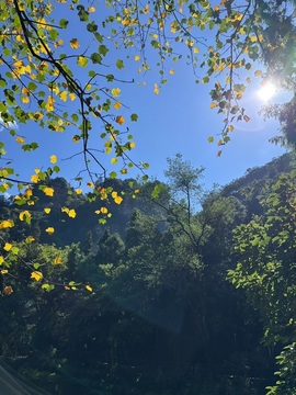 小可柔💜的图片