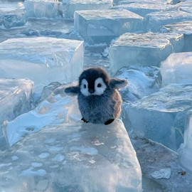 人间何所以观风与月9的图片