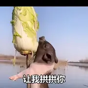 无⭐贼