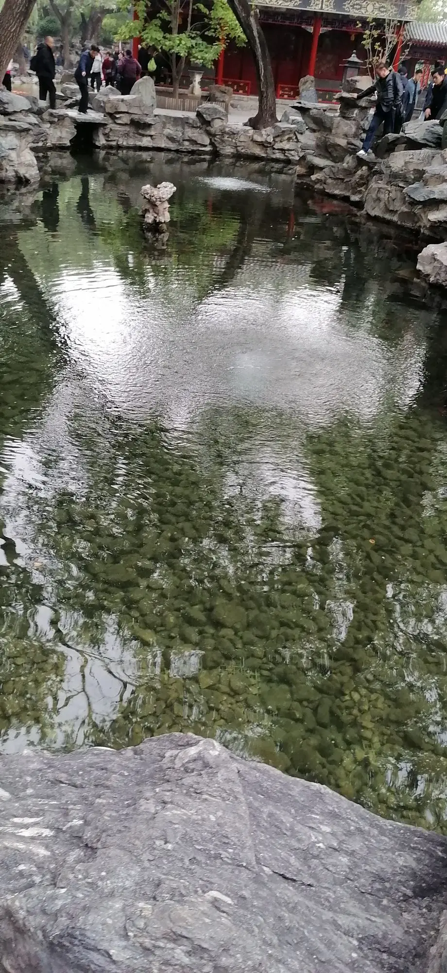 酒仙酒仙qisea的主播照片