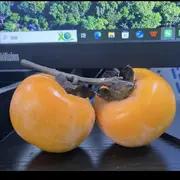 无敌锅包肉