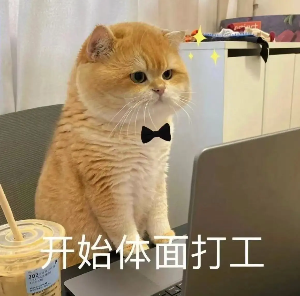 晚星𝐲𝐨𝐥𝐨主播图片