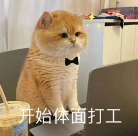 晚星𝐲𝐨𝐥𝐨的图片
