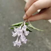 💕心海随缘