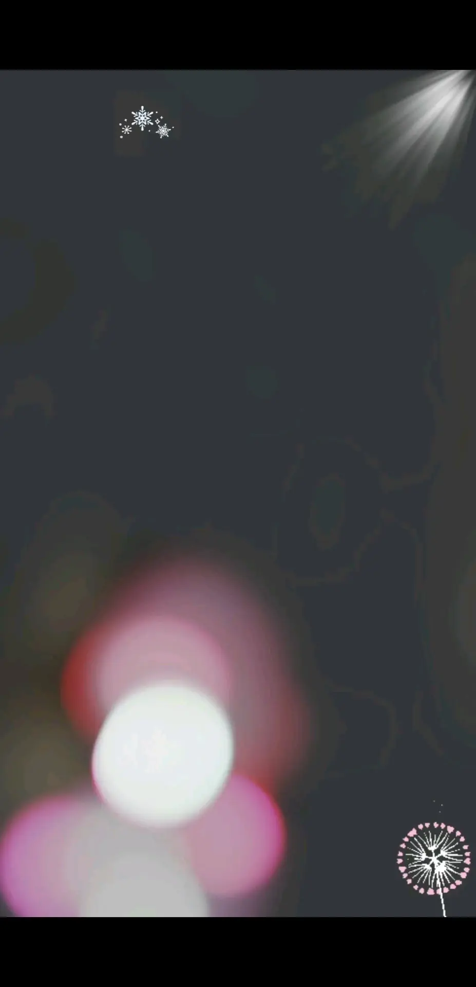 * ∧＿∧（｡･ω･