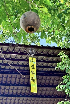 ❥小柒天天播↗的图片