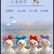 珍珠广场舞的用户头像