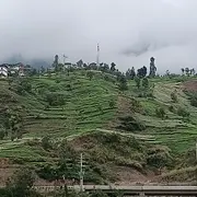 靠捡瓶子为生