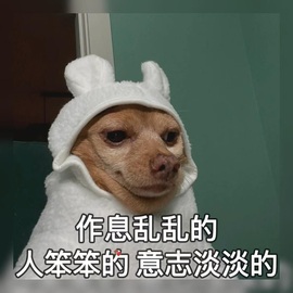 新来的抱抱馨💌的图片