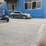 喂狗招狗咬