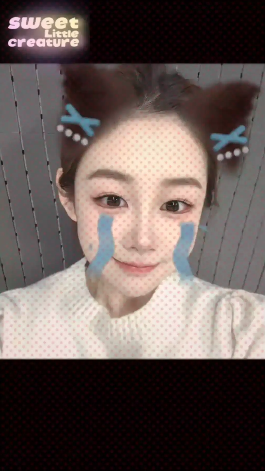 古德猫宁