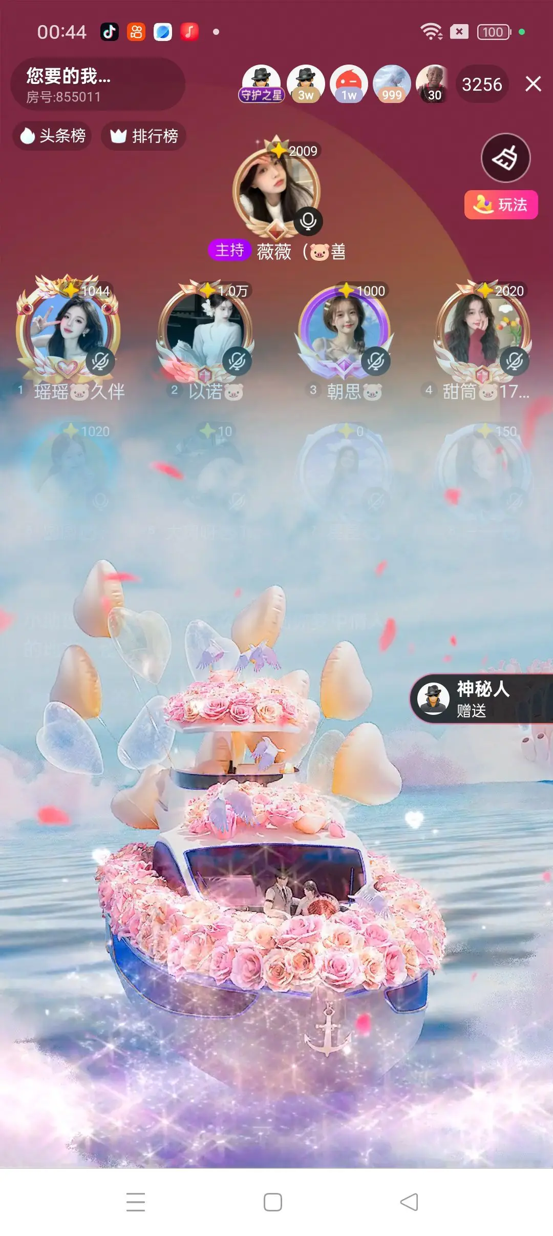 星星🐷主播图片