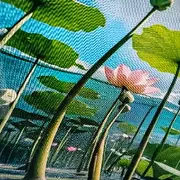 ⊹爱笑的康康