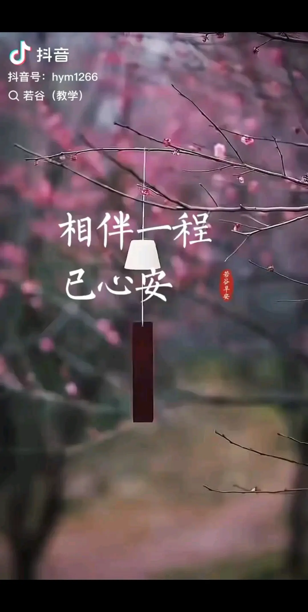 各自安好吧