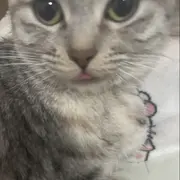 哦哦哦哦…