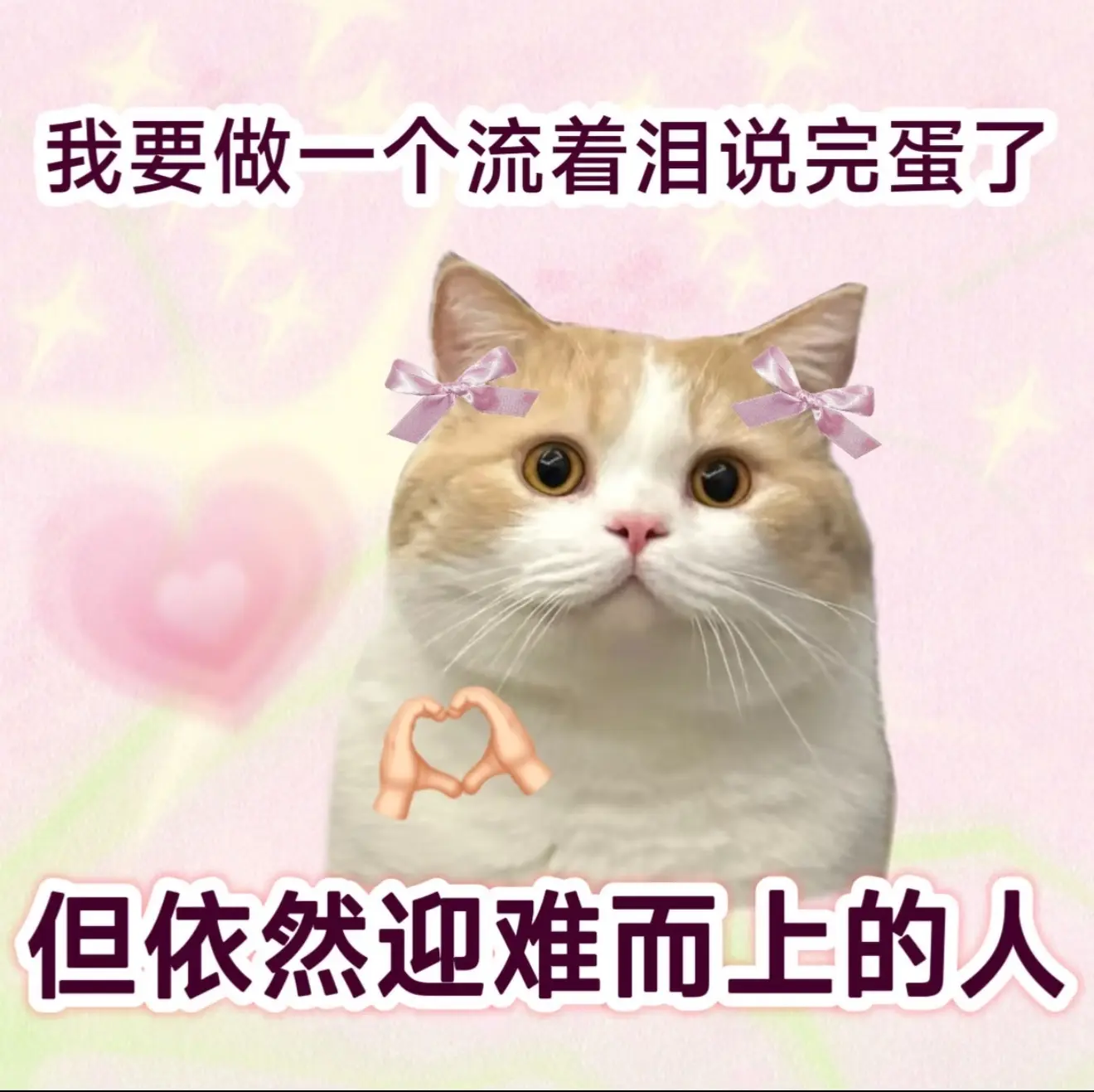 欣桐^c^的主播照片
