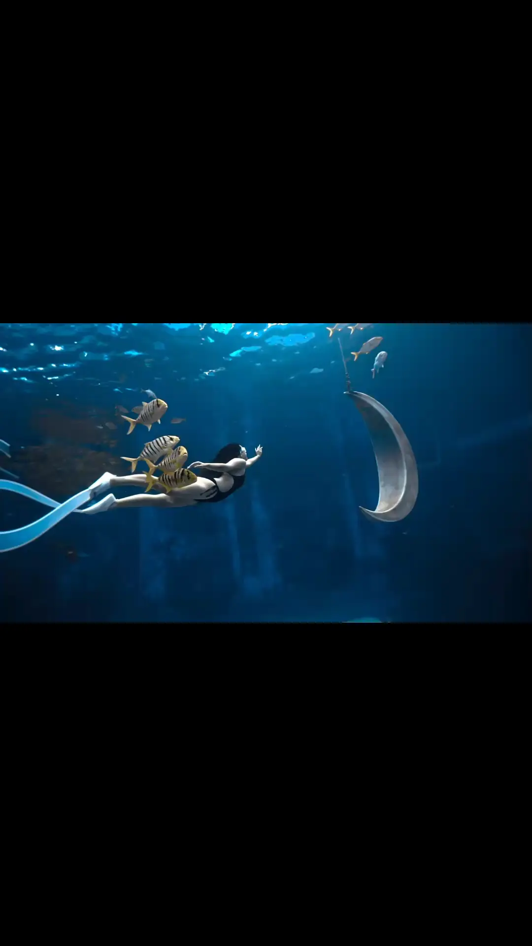 与鱼群共舞🐟💃