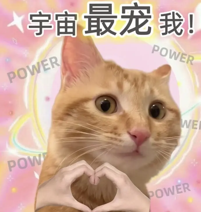 苏打。。。主播图片